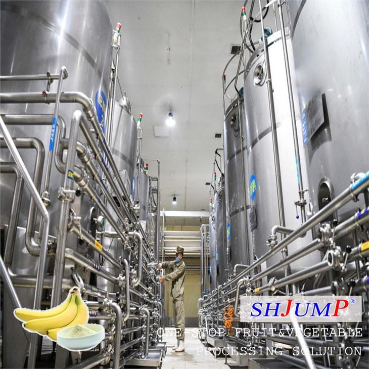 Banana Powder Processing Line