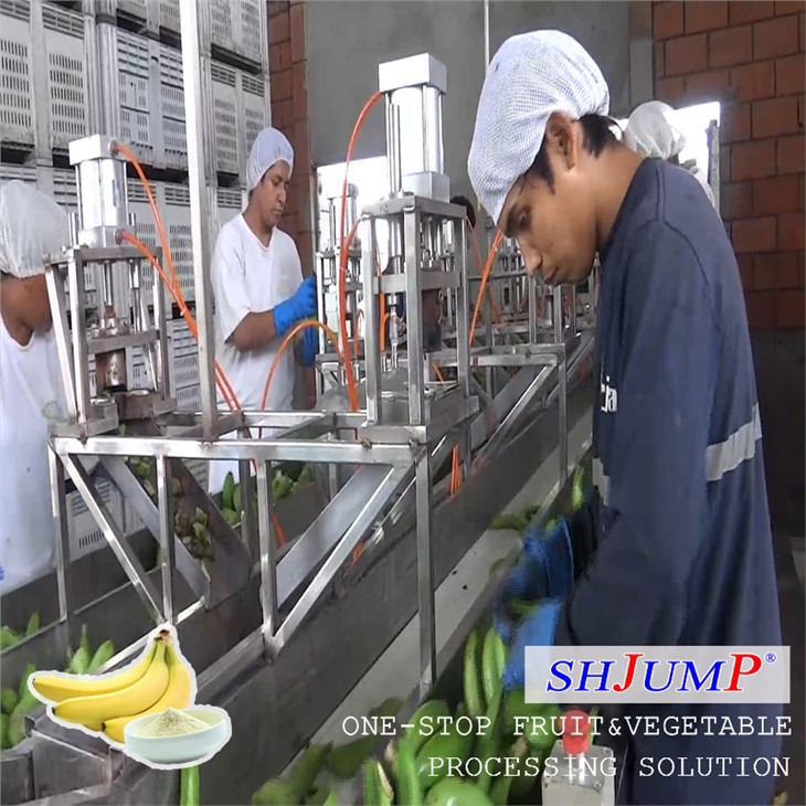 Banana Powder Processing Line