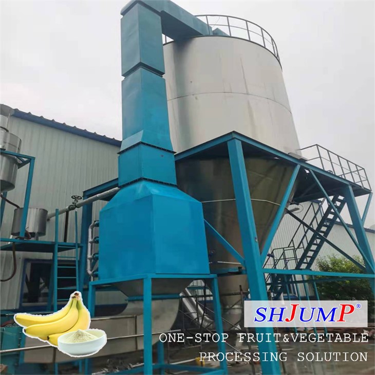 Banana Powder Processing Line
